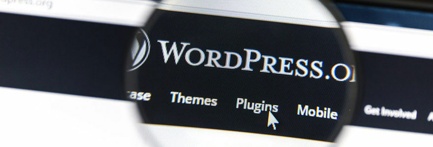 WordPress